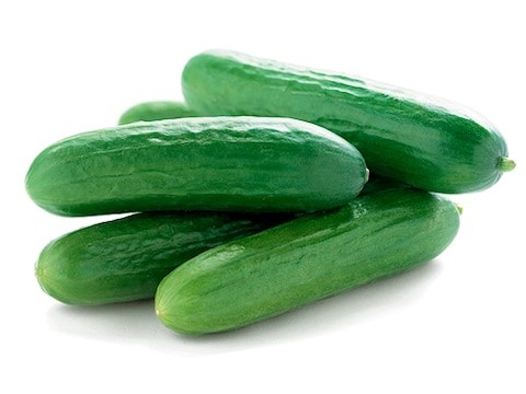 Cucumber