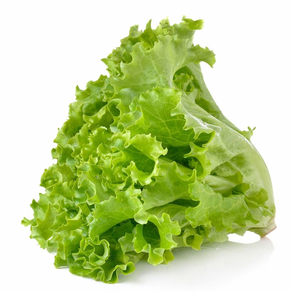Lettuce